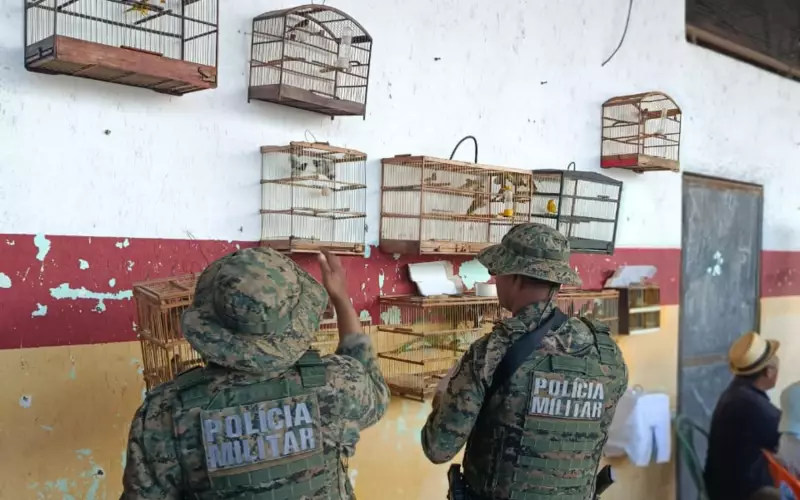 Operação Resgate: Dezenas de Aves Silvestres Salvas das Garras do Tráfico na Grande Salvador