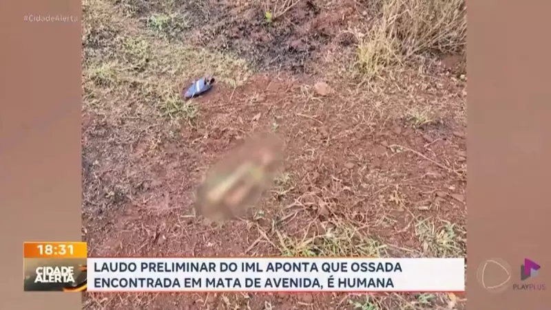 Ossada com chapéu da PM é achada em mata de Ribeirão Preto: mistério intriga autoridades