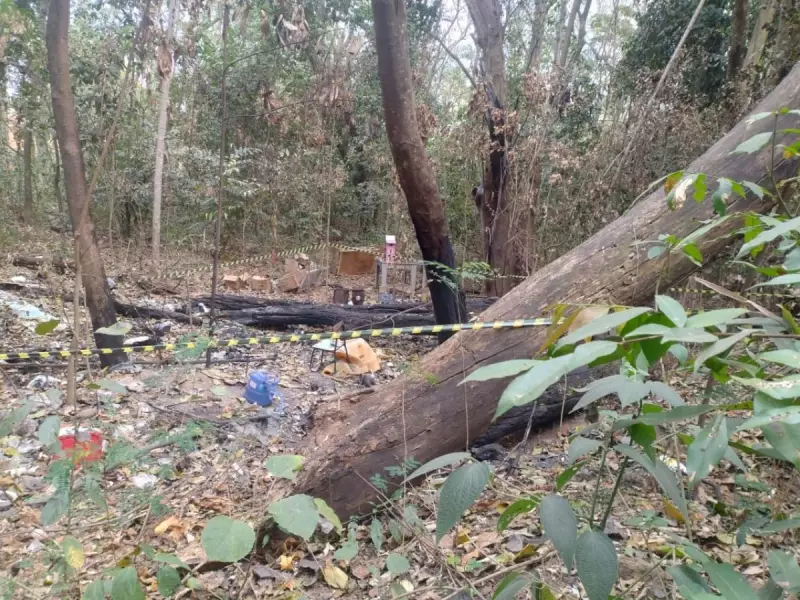 Ossada Humana é Encontrada em Rio de Campinas: Mistério em Jaguariúna
