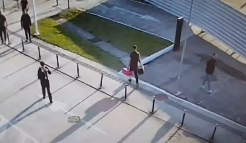 Passageiro abandona cachorro no aeroporto de Florianópolis e acaba detido — veja o desfecho