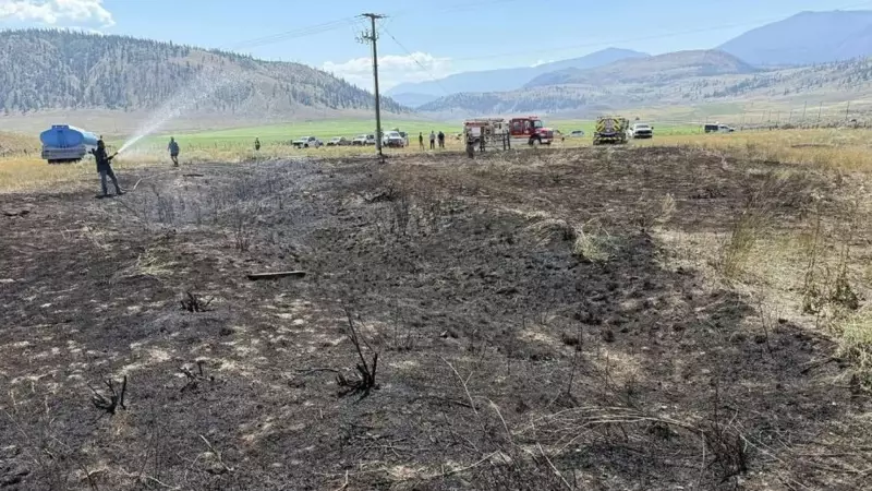 Peixe cai do céu no Canadá e causa incêndio: fenômeno bizarro deixa população sem luz