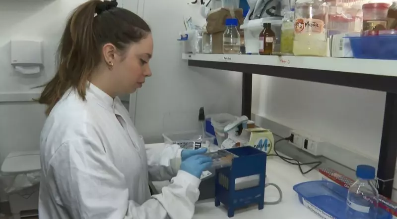 Pesquisa revolucionária da USP usa luz, bactérias e sistema imunológico para eliminar câncer de pele