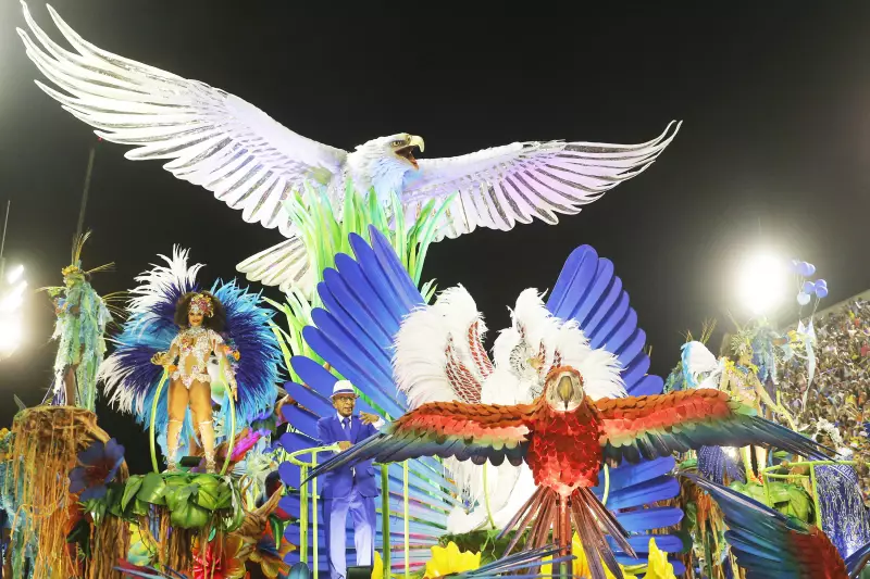 Portela recebe aval do governo Lula para captar R$ 37 milhões e brilhar no Carnaval 2026