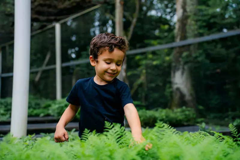 Programa Diamante: Educação Ambiental Transforma Vidas em Santa Catarina