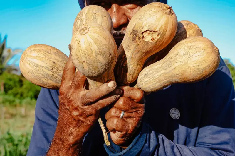 Quem realmente coloca comida no prato do brasileiro? Descubra os heróis invisíveis da agricultura familiar!