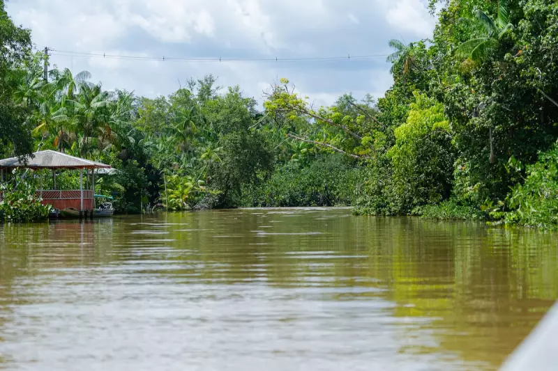 Record Brasília Brilha em Evento Sustentável: Os Caminhos para a COP30 e a Proteção da Nossa Biodiversidade