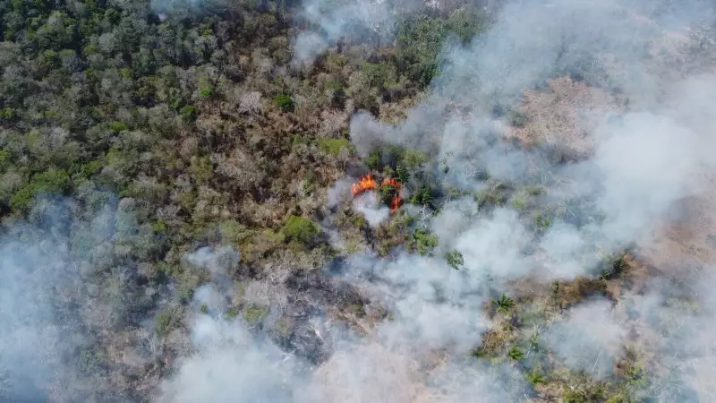 Roraima comemora queda de 25% nos focos de calor em agosto de 2025 — veja os detalhes