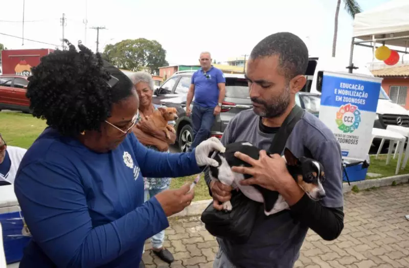 Salvador: Dia D de Vacinação Antirrábica para Cães e Gatos é Neste Sábado (31) - Confira os Postos!