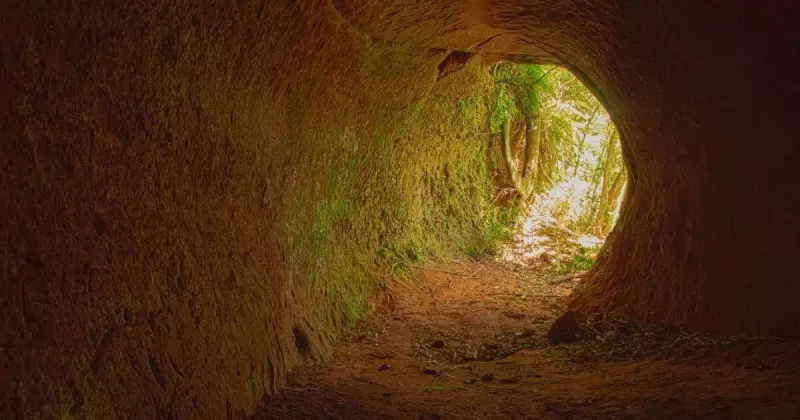 Santa Catarina esconde segredo milenar: cavernas guardam fósseis de animais gigantes extintos