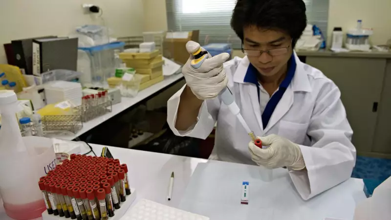 Sífilis em alta: Brasil enfrenta epidemia silenciosa e preocupante