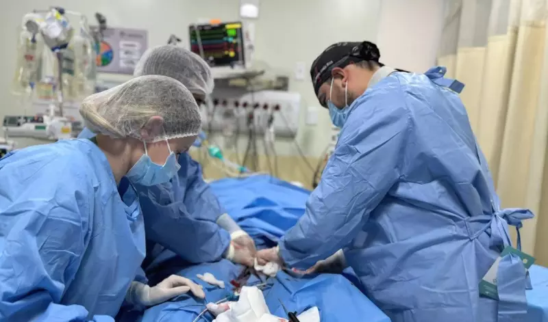 SUS Realiza Feito Inédito: Implante Cardíaco Revolucionário Salva Vida em Sergipe