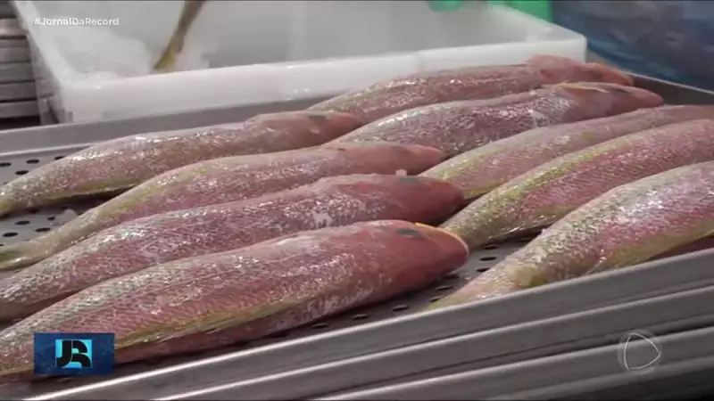 Tarifa dos EUA de 50% atinge exportações brasileiras de aço e pescados — veja os impactos