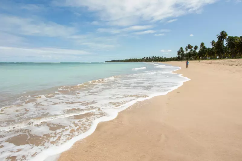 Tentativa de sequestro na Rota dos Milagres: Casal de turistas é resgatado em ação dramática em Alagoas