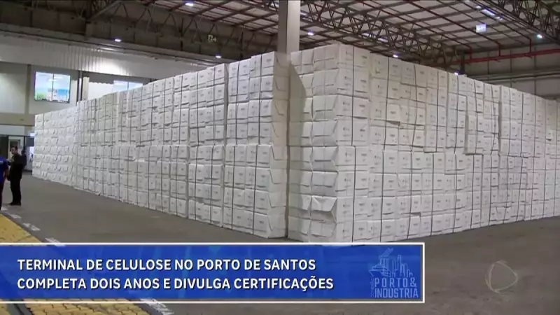 Terminal de celulose no Porto de Santos celebra 2 anos com conquistas sustentáveis e reconhecimento internacional