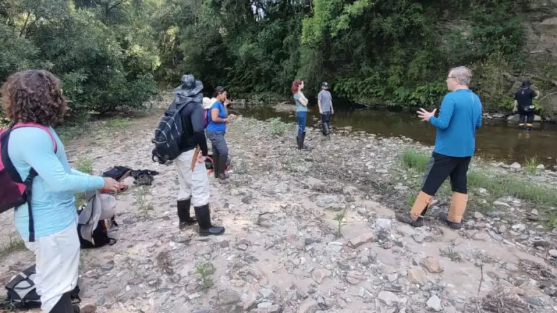 Tesouro escondido: RS pode virar celeiro de terras raras no Brasil