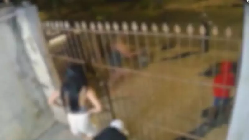 Tiro em Curitiba: discussão por som alto termina em tragédia no bairro
