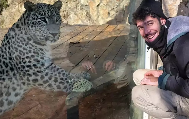 Tragédia em zoológico de Jerusalém: funcionário morre após ataque brutal de leopardo