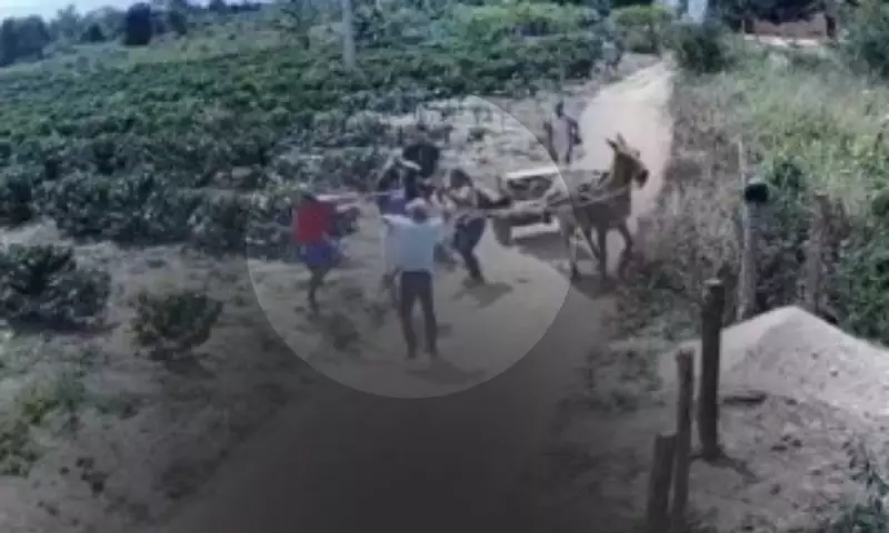 Tragédia na Bahia: Homem é assassinado a pauladas em crime brutal