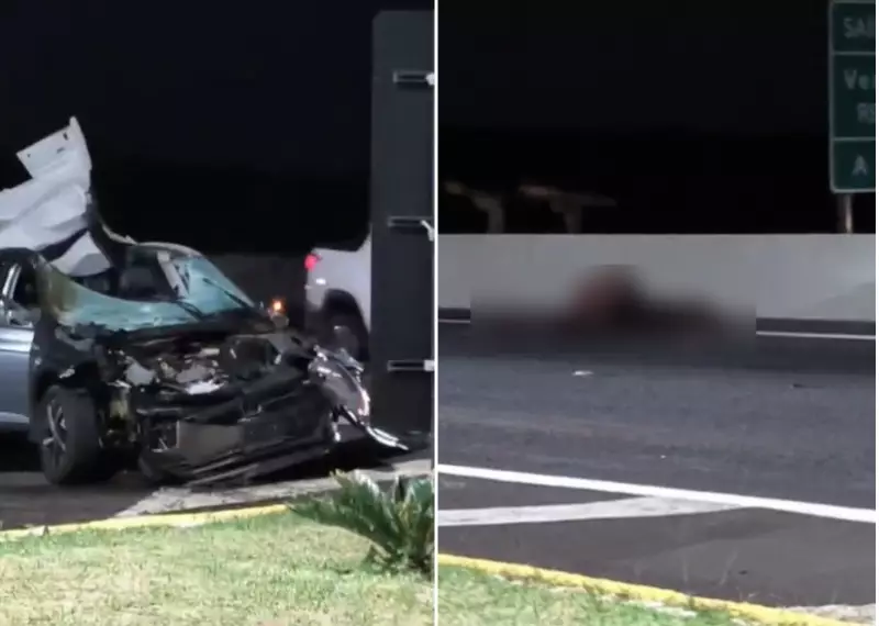 Tragédia na Rodovia: Cavalo Morre Após Ser Atropelado em Acidente Chocante no Interior de SP