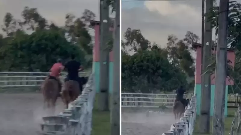 Tragédia na Vaquejada: Jovem Vaqueiro Perde a Vida em Queda Brutal de Cavalo em Panelas