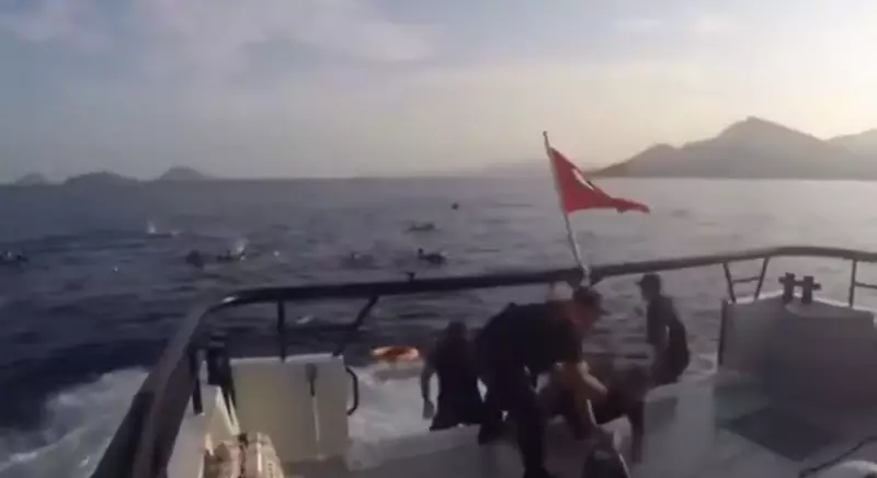 Tragédia no Iêmen: Barco com 154 imigrantes naufraga e apenas 12 sobrevivem — detalhes chocantes