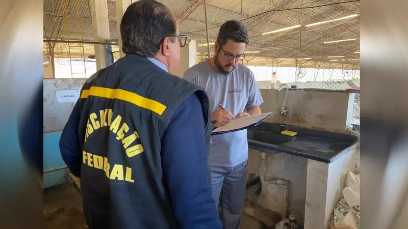 Tragédia Repetida: Granja em Itu Interditada após Operário Ficar Preso em Moedor de Ração – Mesmo Local Teve Morte em 2023