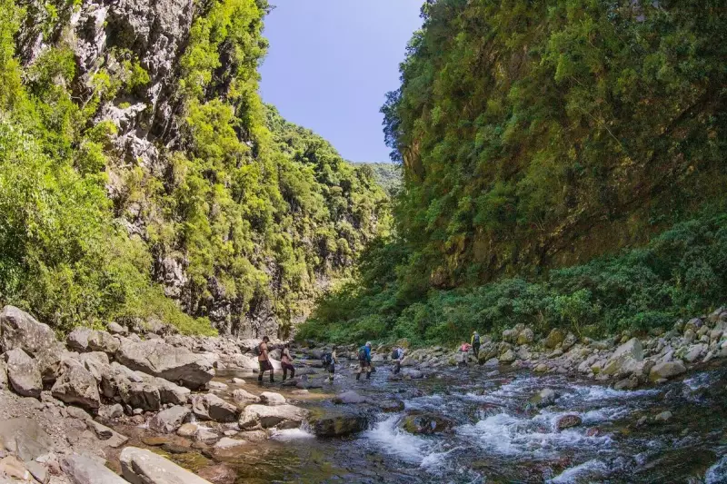 Trilha em SC é eleita uma das melhores da América do Sul: veja o que a torna especial