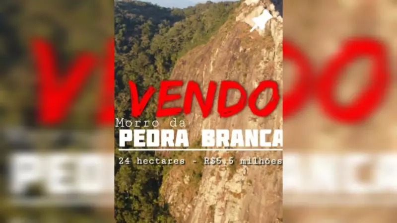 Venda de terreno em área geográfica estratégica gera polêmica e levanta debate sobre preservação ambiental em SC