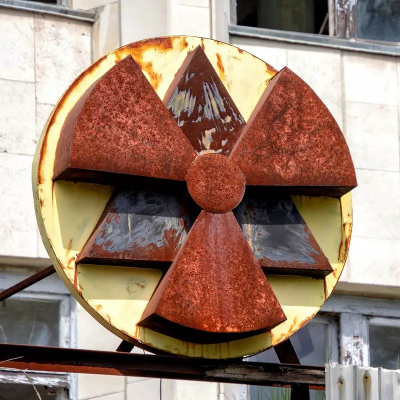 Vespa Radioativa? Ninho Surpreendente é Encontrado em Antiga Fábrica de Bombas Nucleares nos EUA