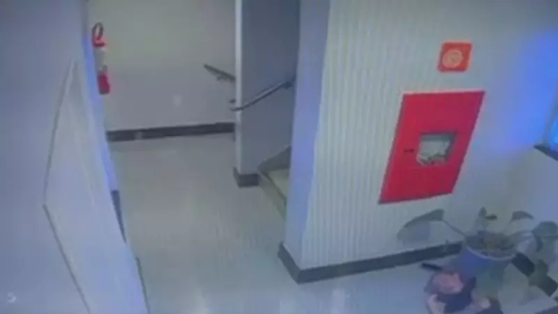 VÍDEO CHOCANTE: Cuidadora é agredida por filho de idosa em Brasília — imagens fortes mostram empurrões e ameaças
