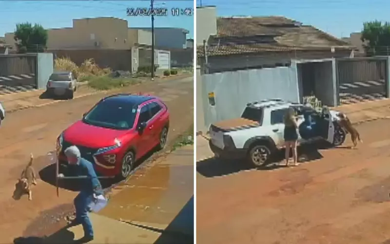 VÍDEO CHOCANTE: Oficial de Justiça dispara contra cachorro em via pública de Goiás e gera revolta