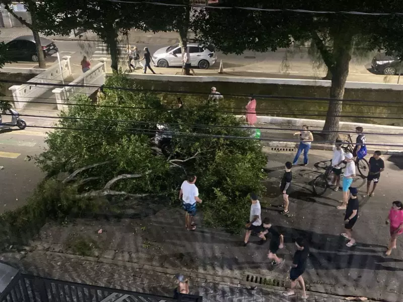 Acidente Bizarro em Santos: Carro Atinge Árvore e Queda Esmaga Táxi — Veja o Vídeo Chocante!