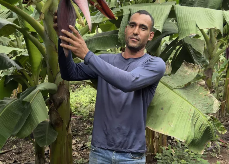 Agricultores da Amazônia Legal Podem Receber até R$ 28 Mil por Preservação Ambiental - Saiba Como