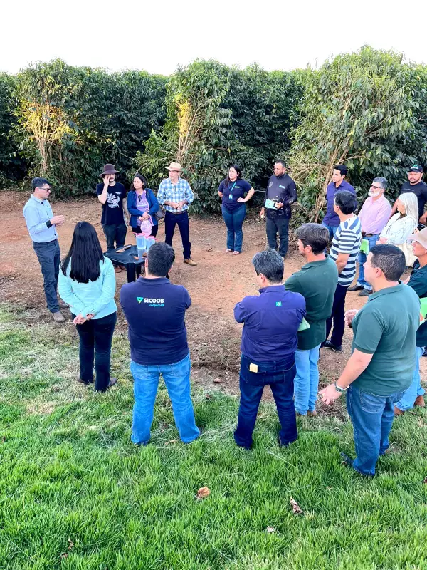 Agricultura Regenerativa: BDMG Oferece Curso Gratuito Para Revolucionar a Pecuária em MG