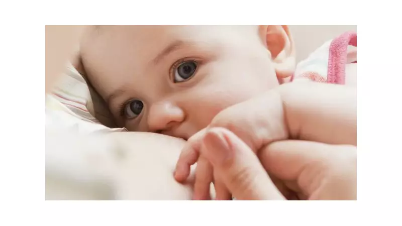 Amamentação Revela Segredo Imunológico: Como o Leite Materno é uma Fábrica de Defesas