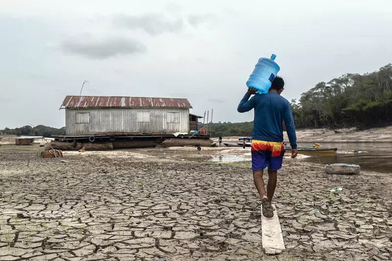 Amazônia em Colapso: Como o Desmatamento Descontrolado Está Secando os Rios Aéreos e Transformando a Floresta em Cerrado