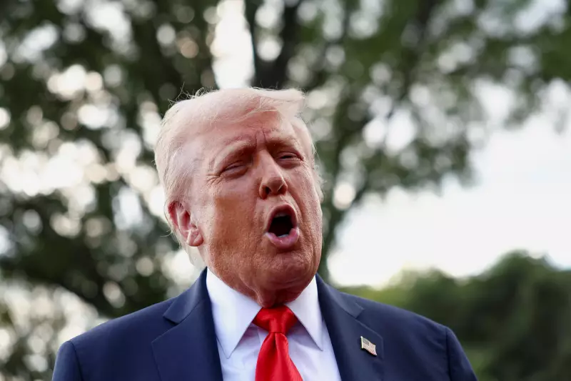 Antifa: O Movimento Que Trump Quer Classificar Como Terrorista e o Que Isso Significa