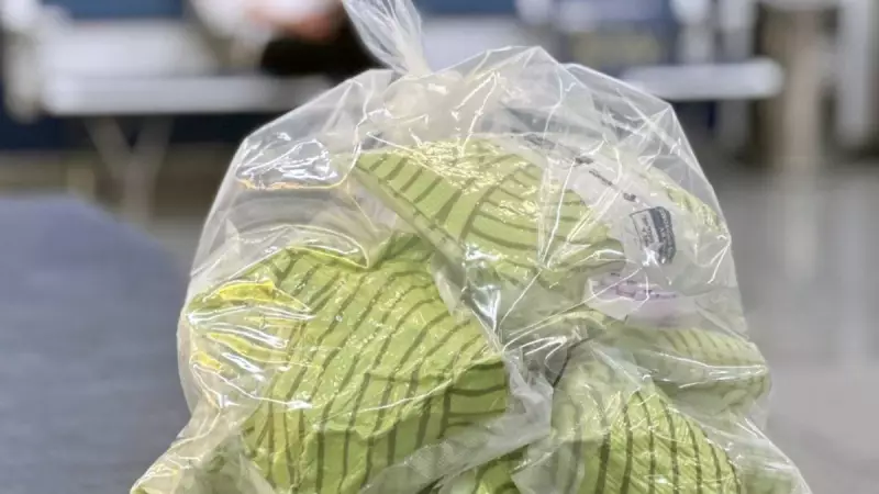 Apreensão Recorde no Galeão: Receita Federal Intercepta 45kg de Metanfetamina em Operação de Alto Impacto