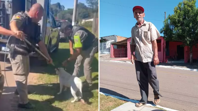 Ataque Fatal de Pitbulls em Minas do Leão: Polícia Investiga Possível Negligência