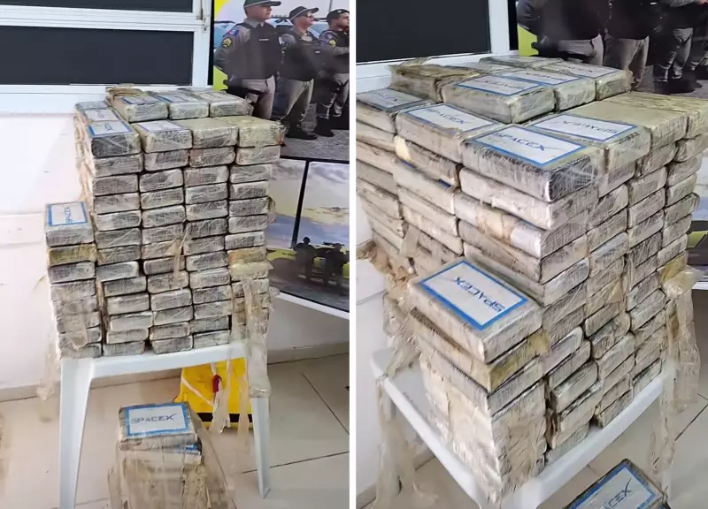 Avião Carregado com Cocaína Despenha em Canavial de Coruripe: Piloto Não Resistiu