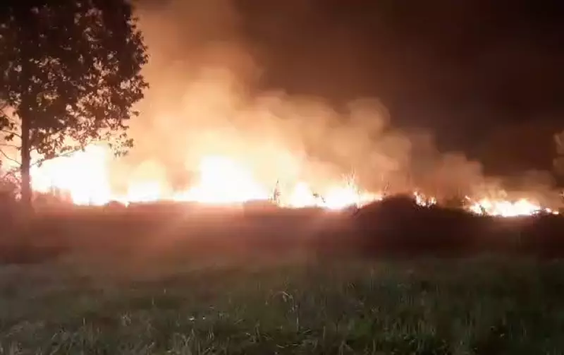 BAURU EM ALERTA: Incêndio de grandes proporções devasta mata próxima à UPA Mary Dota