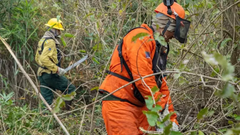 Brasil Atinge Recorde Histórico: Agosto Tem o Menor Número de Queimadas Desde o Início das Medições
