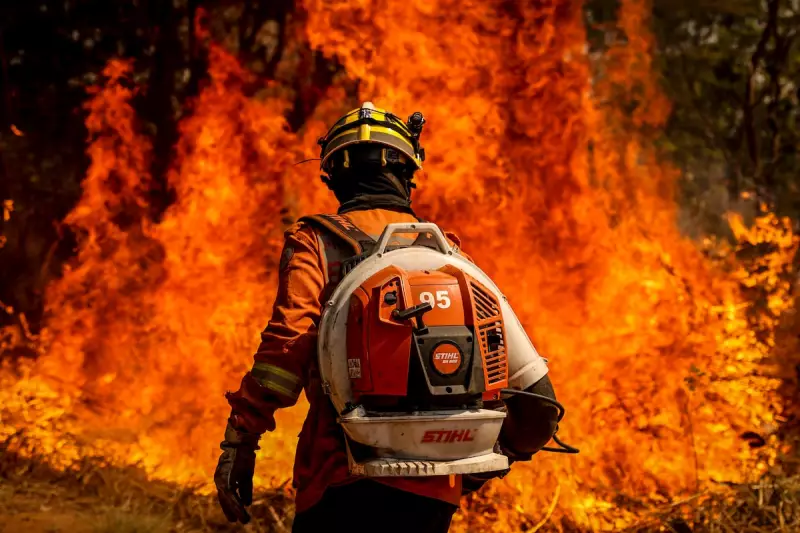 Brasil tem o agosto com menos queimadas da história: um alívio e tanto para o meio ambiente