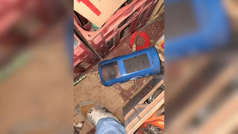 Cachorro em Estado Lastimável é Resgatado de Bar Interditado por Infrações Sanitárias em Uberlândia