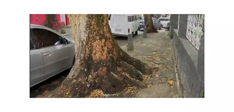 Calçadas do Rio em Estado Crítico: Prefeitura é Soterrada por Reclamações