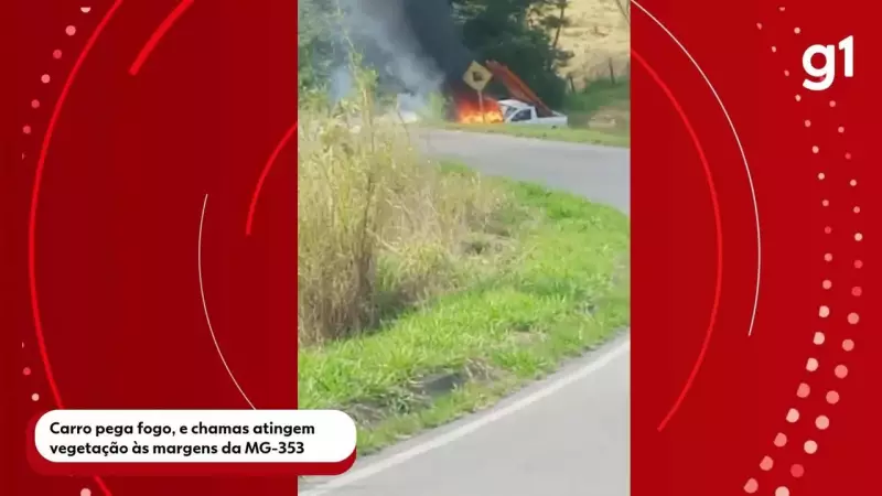 Carro vira bola de fogo e incêndio se alastra por vegetação às margens da MG-353 em Juiz de Fora
