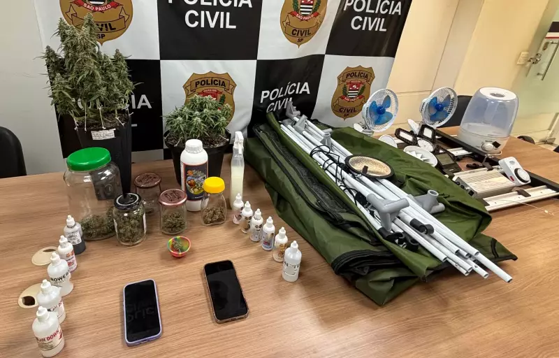 Casal é flagrado com estufa industrial de maconha em Piracicaba: operação desmonta esquema sofisticado