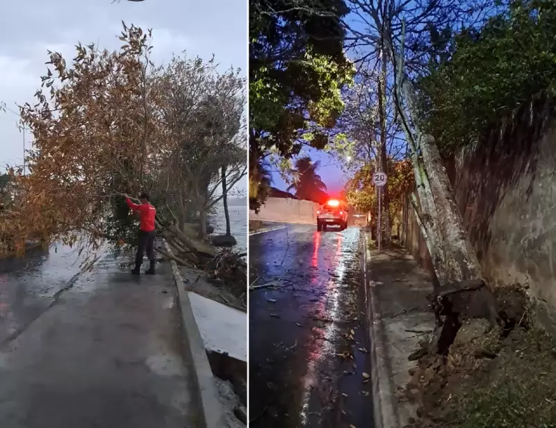 Chuva e Ventania em Saquarema: Árvores Tombam e Deixam Rastro de Preocupação