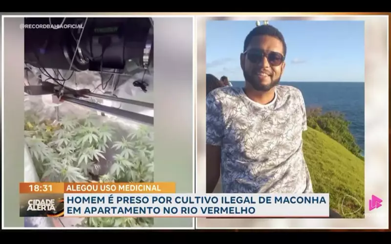 Cultivo Ilegal de Maconha em Apartamento de Luxo no Rio Vermelho Termina com Prisão em Flagrante