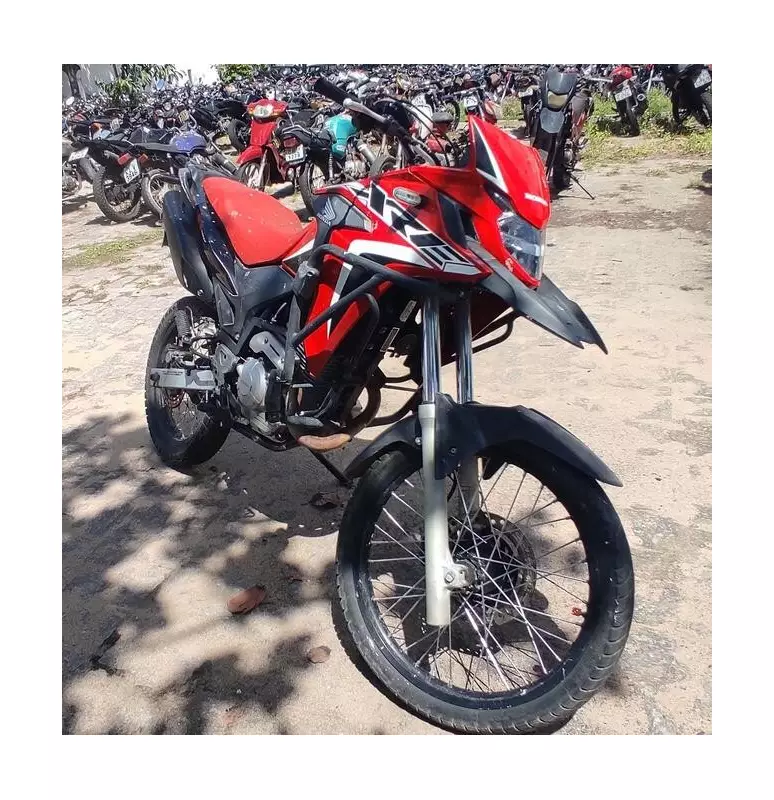 Detran-PB realiza leilão com quase 300 veículos: carros, motos e até caminhões a preços irresistíveis